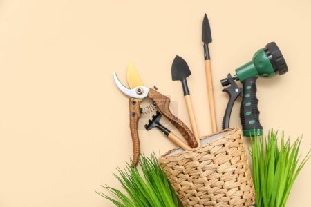 Téléchargez les photos : Panier avec outils de jardinage et plantes sur fond beige - en image libre de droit