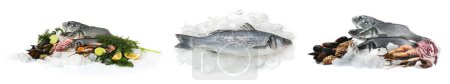 Collage aus frischen Meeresfrüchten mit Eiswürfeln auf weißem Hintergrund