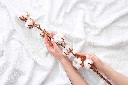 Female hands with cotton sprig on white blanket background