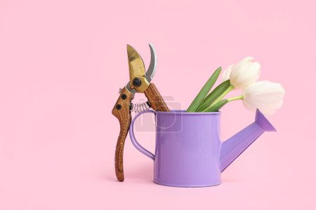 Watering can with pruners and tulip flowers on pink background