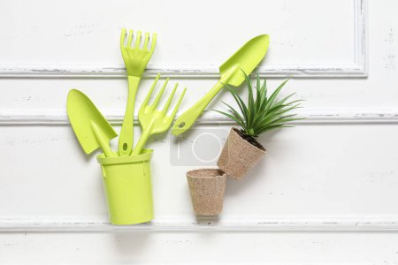 Téléchargez les photos : Outils de jardinage et plante d'intérieur sur fond blanc - en image libre de droit
