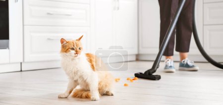 Foto de Propietario hoovering piso en cocina después travieso gato - Imagen libre de derechos