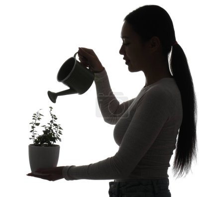 Silhouette of young Asian woman watering plant on white background