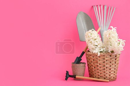 Téléchargez les photos : Panier avec fournitures de jardinage et jacinthes sur fond rose - en image libre de droit