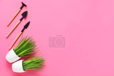 Téléchargez les photos : Outils de jardinage et plantes en pots sur fond rose - en image libre de droit