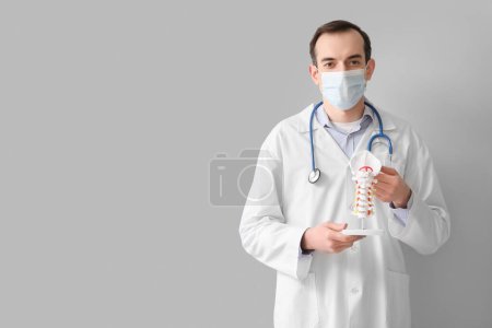 Médico masculino con modelo de columna vertebral sobre fondo gris