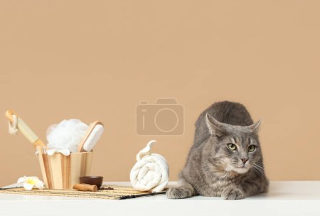 Photo for Cute grey cat and spa tools on white table near brown wall - Royalty Free Image