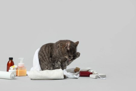 Photo for Cute cat with white towel sitting near cosmetic products, pumice, massage brush and flowers on grey background - Royalty Free Image