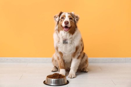 Mignon chien de berger australien assis avec bol de nourriture sèche près du mur orange