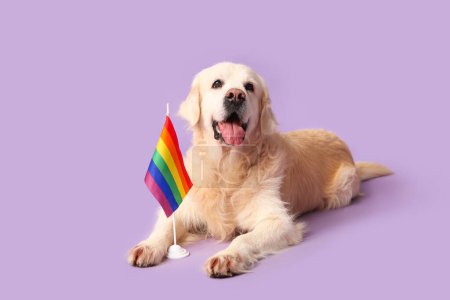 Mignon chien labrador avec drapeau LGBT couché sur fond violet