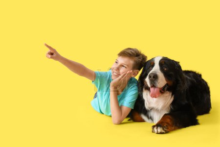 Téléchargez les photos : Petit garçon avec chien de montagne bernois pointant quelque chose sur fond jaune - en image libre de droit