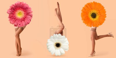 Téléchargez les photos : Collage avec des fleurs de gerbera et des jambes de jeune femme en bas nus sur fond beige - en image libre de droit