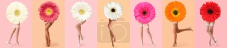 Téléchargez les photos : Collage avec des fleurs de gerbera et des jambes de jeune femme en bas élégants sur fond rose et beige - en image libre de droit
