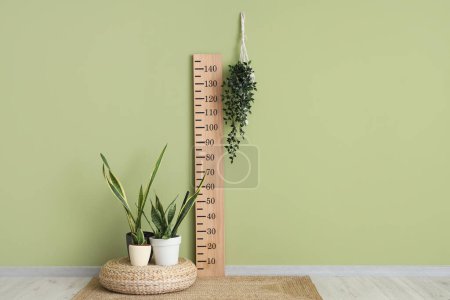 Holzstadiometer und Zimmerpflanzen in der Nähe der grünen Mauer