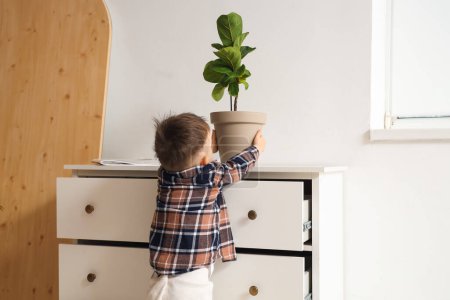 Little boy taking plant from commode at home. Child in danger