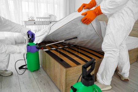 Foto de Trabajadores masculinos desinfectando la cama en el dormitorio - Imagen libre de derechos
