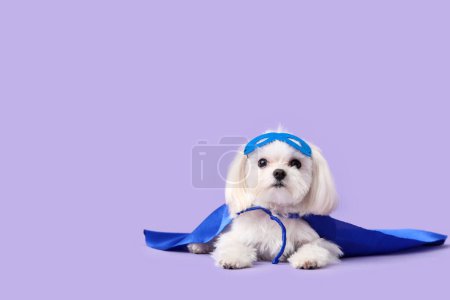 Cute little dog in superhero costume lying on lilac background