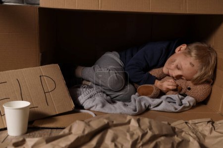 Obdachloser kleiner Junge mit Spielzeugbär schläft in Karton