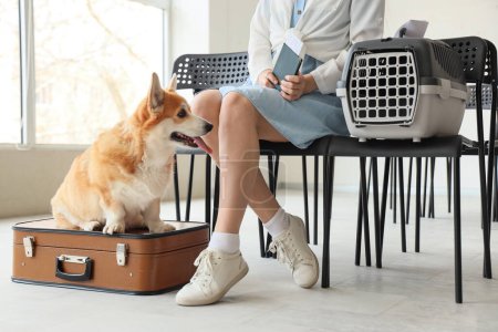 Touristin mit Pass und Corgi-Hund am Flughafen
