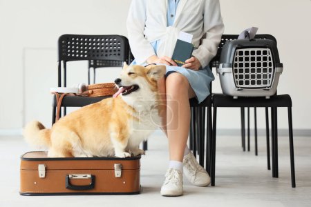 Female tourist with passport and Corgi dog on bag at airport