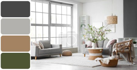 Cozy sofas and blooming branches in living room. Different color samples