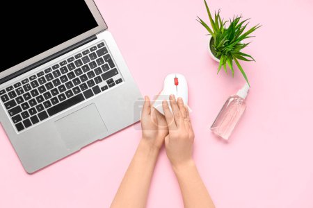 Photo for Woman with laptop and bottle of sanitizer wiping mouse on pink background - Royalty Free Image