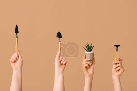 Téléchargez les photos : Mains féminines avec plante, râteau de jardinage et pelles sur fond de couleur - en image libre de droit