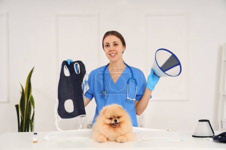 Photo for Female veterinarian with recovery suit, cone and Pomeranian dog after sterilization in clinic - Royalty Free Image