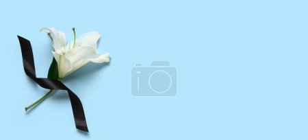 White lily flower and black funeral ribbon on blue background with space for text