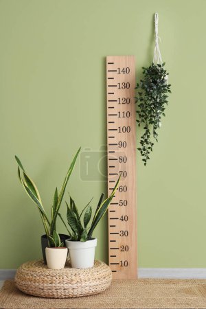 Holzstadiometer und Zimmerpflanzen in der Nähe der grünen Mauer