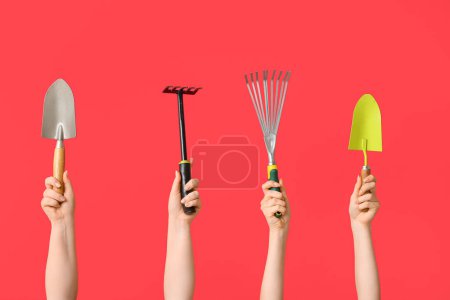 Téléchargez les photos : Mains féminines avec râteaux de jardinage et pelles sur fond rouge - en image libre de droit