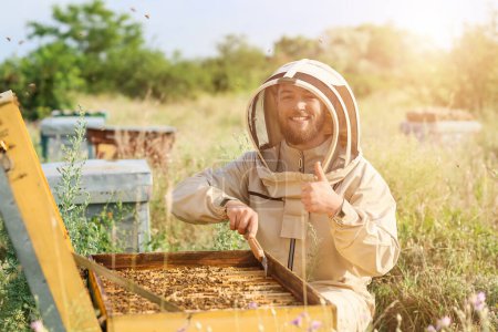 Feliz apicultor trabajando en su colmenar