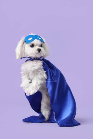 Cute little dog in superhero costume standing on lilac background