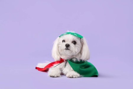 Cute little dog in superhero costume lying on lilac background