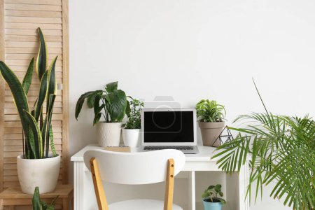 Téléchargez les photos : Workplace with laptop and green plants near light wall in office - en image libre de droit