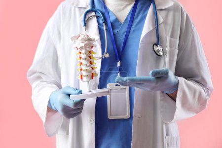 Foto de Médico varón mostrando modelo de columna vertebral sobre fondo rosa - Imagen libre de derechos