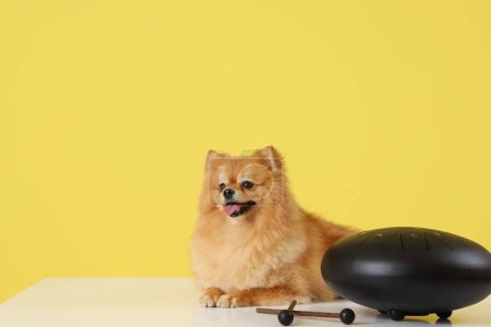 Cute Pomeranian dog with glucophone on table against yellow background