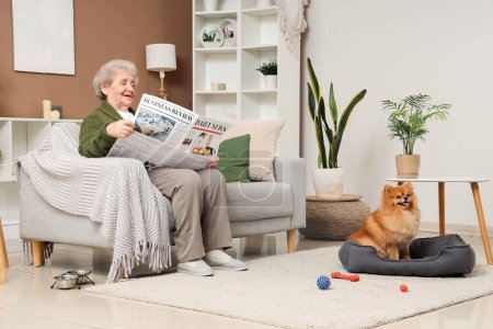 Photo for Senior woman reading newspaper with cute Pomeranian dog in pet bed at home - Royalty Free Image