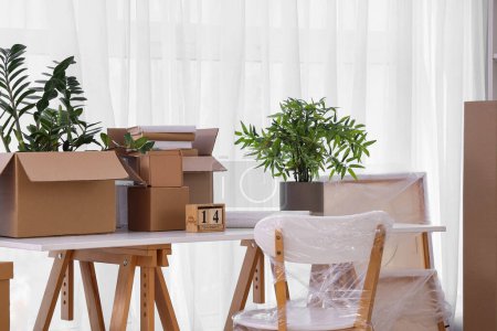 Möbel, Zimmerpflanzen und Kartons mit Habseligkeiten in der neuen Wohnung. Umzugskonzept