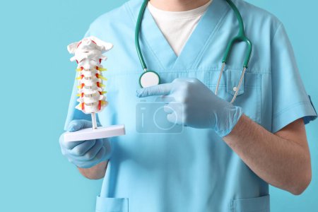 Foto de Médico masculino señalando el modelo de columna vertebral sobre fondo azul - Imagen libre de derechos