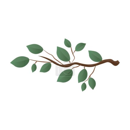 Illustration for Tree branch with green leaves on white background - Royalty Free Image