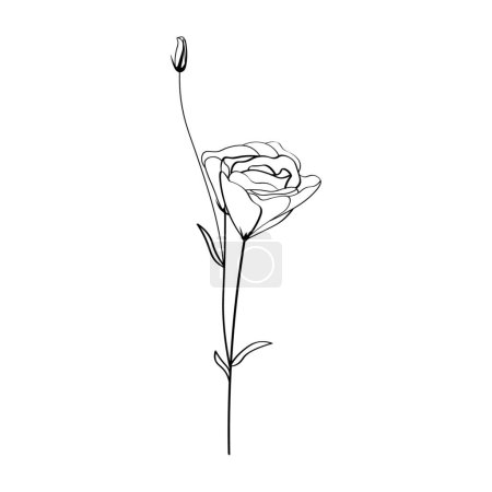Illustration for Beautiful eustoma flower on white background - Royalty Free Image
