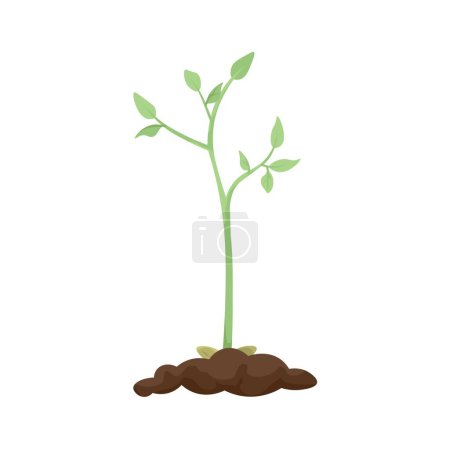 Illustration for Sprouting plant on white background - Royalty Free Image