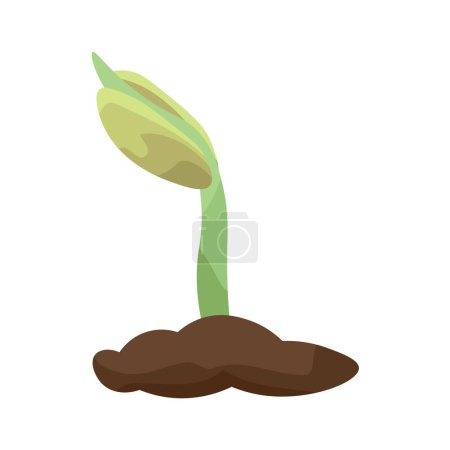 Illustration for Growing seedling on white background - Royalty Free Image