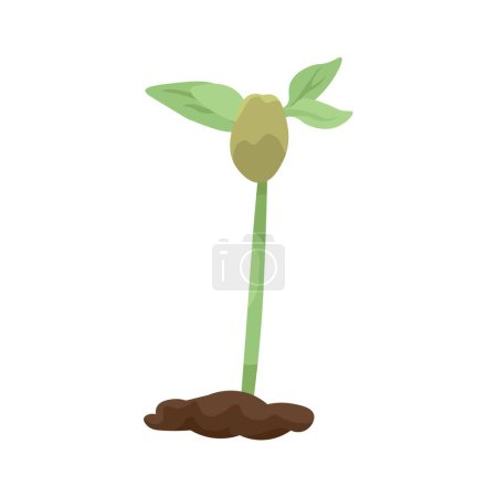 Illustration for Growing seedling on white background - Royalty Free Image