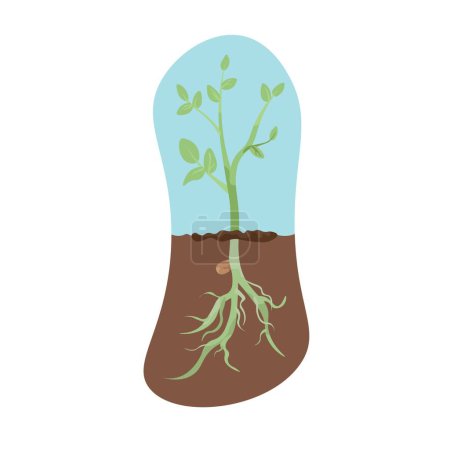 Illustration for Sprouting plant in soil on white background - Royalty Free Image