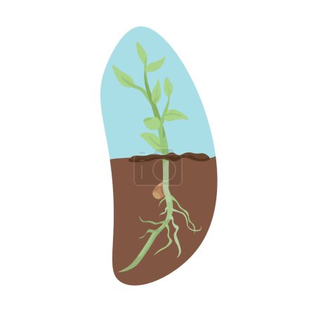 Illustration for Sprouting plant in soil on white background - Royalty Free Image