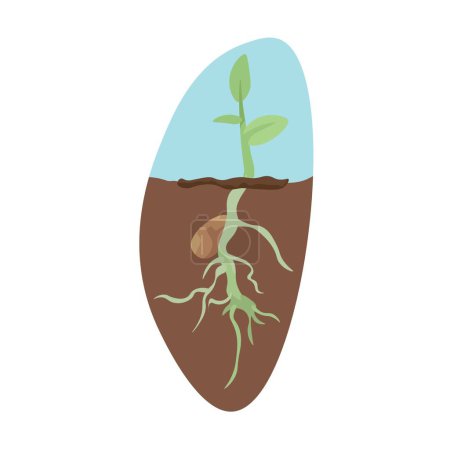 Illustration for Growing seedling in soil on white background - Royalty Free Image