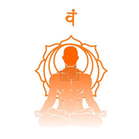 Ilustración de Silueta del hombre meditante y símbolo de Svadhisthana (chakra sacro) sobre fondo blanco - Imagen libre de derechos