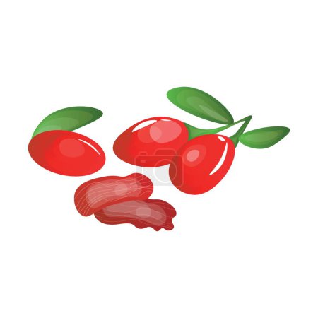 Illustration for Sour Cornelian cherries on white background - Royalty Free Image